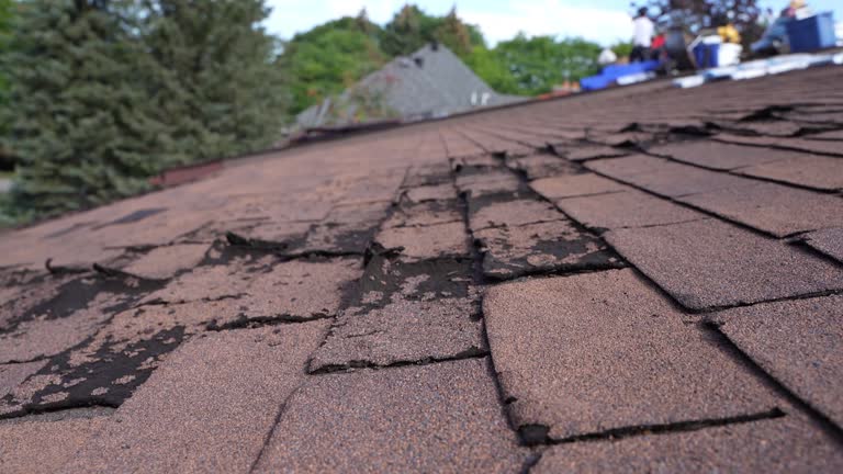 Best Gutter Installation and Repair  in Dranesville, VA