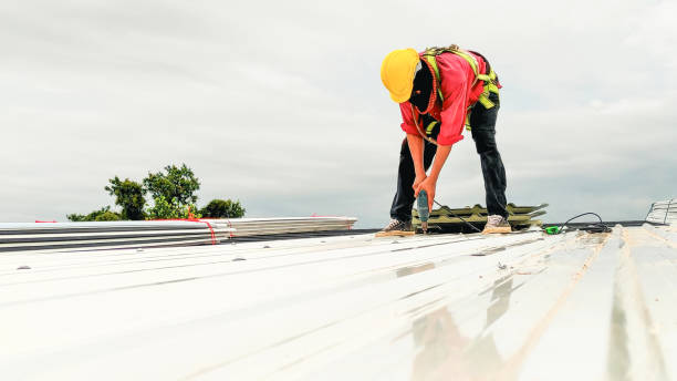 Best Roof Coating and Sealing  in Dranesville, VA