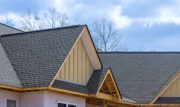Best Roof Ventilation Installation  in Dranesville, VA